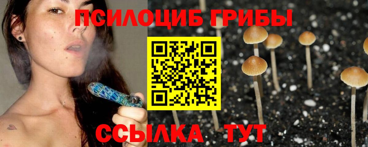 Биробиджан  цена   Вход с VPN  Псилоцибиновые грибы ЛСД 